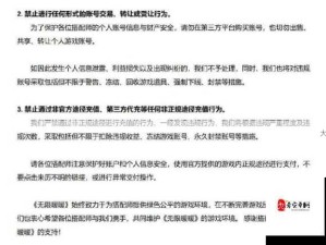 龙吟大陆公平运营宣言 揭秘资源管理艺术与智慧之道