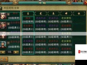 帝王三国单挑宝典，新手进阶称雄的单挑实战攻略