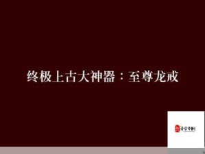 龙戒电脑版下载及模拟器安装详细步骤全解析