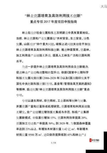 荣耀冠军双开软件推荐与深度解答，资源管理、高效利用与价值最大化