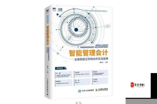 了不起的飞剑双开与多开，资源管理、高效利用与避免浪费的全面指南